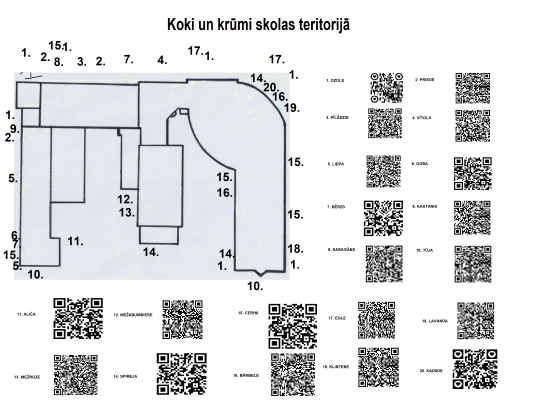 Koku un krūmu uzskaite Koku un krūmu uzskaite